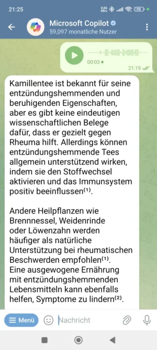 Sprachnachricht an Copilot in Telegram