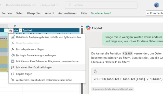 Excel-Funktion von Copilot erklären lassen