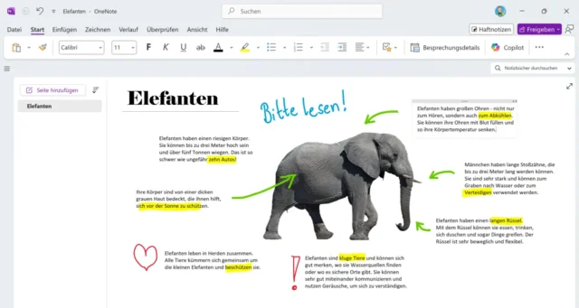 OneNote für digitales Unterrichtsmaterial