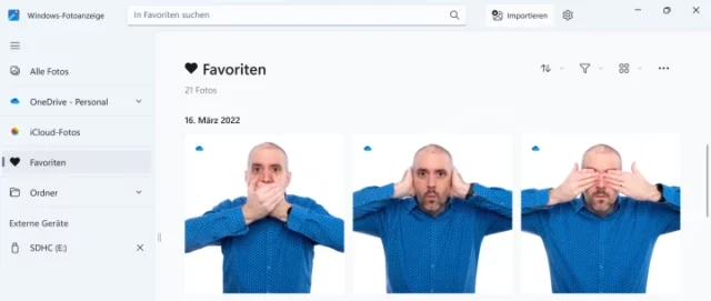 Übersicht in der Windows-Fotoanzeige