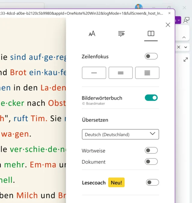Leseeinstellungen im Plastischen Reader