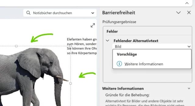 Barrierefreiheit überprüfen in OneNote
