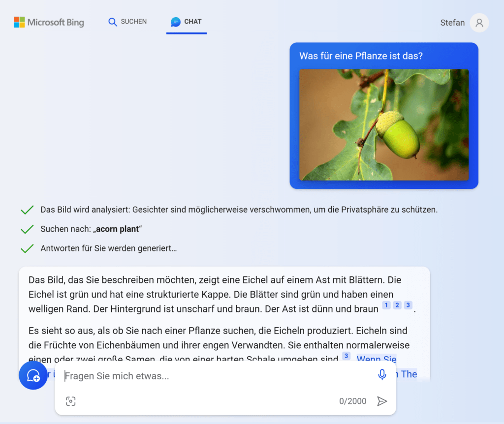 Pflanze bestimmen mithilfe von Microsoft Copilot
