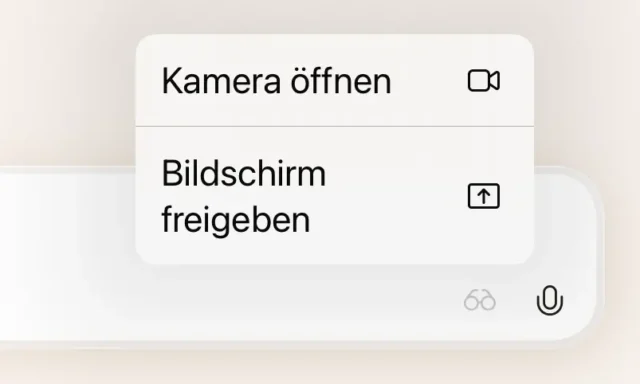 Optionen für Copilot Vision auf dem iPad