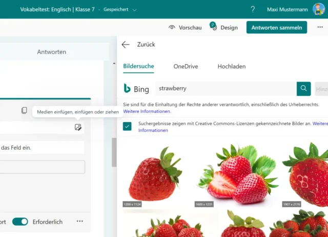 Bildersuche in Microsoft Forms