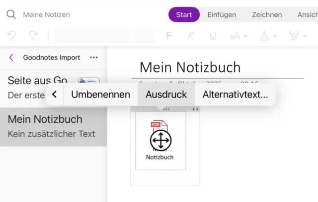 PDF-Datei in OneNote (iPad)