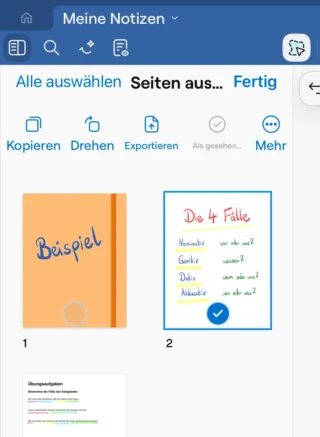 mehrere Seiten auswählen in Goodnotes