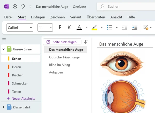neues Notizbuch mit fünf Abschnitten in OneNote