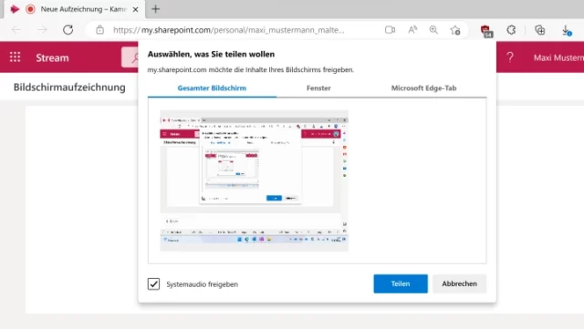 Gesamten Bildschirm oder ein Programmfenster teilen?