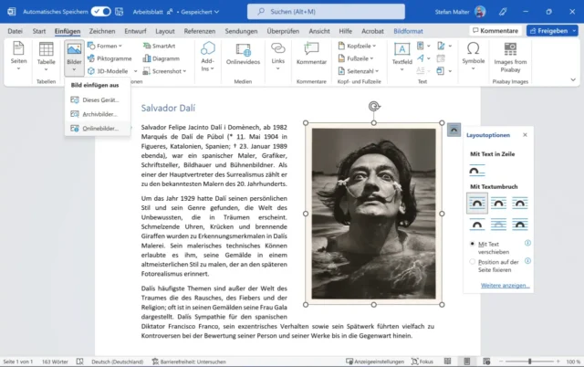 eingefügtes Bild in Microsoft Word